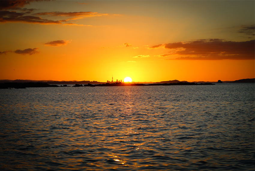 work CoronaSunsetBar 40